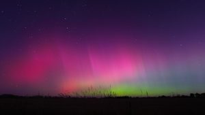 Woods_Heather_The Spectacle