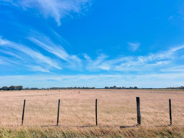 274BB8C6-CCB4-4E18-9B28-B57F4883BA39 (2)